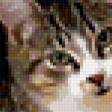 Предпросмотр схемы вышивки «Кошка в листопаде» (№94842)