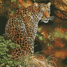 Схема вышивки «леопард»