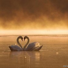 Схема вышивки «Романтика»