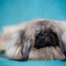 Схема вышивки «Кузьминка»