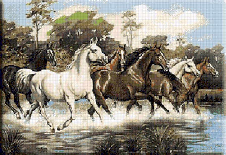 №95019 - лошади, животные, пейзаж - предпросмотр