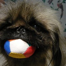 Схема вышивки «Кузенька играет мини»