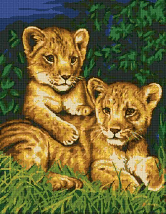 тигрята - кошки, животные, природа, хищники - предпросмотр