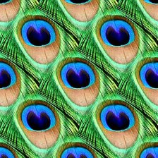 Схема вышивки «Подушка "Перья"»