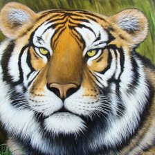 Схема вышивки «Кошки»