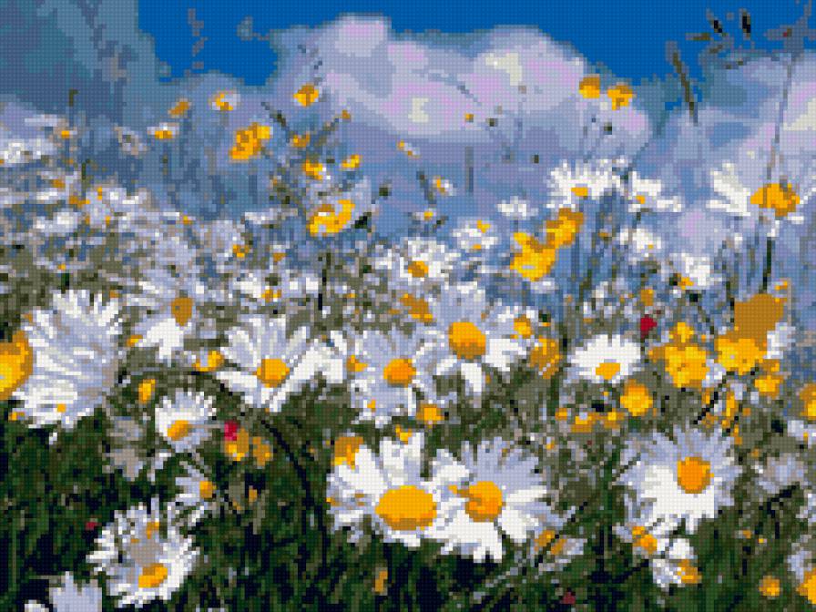 ромашковое поле - предпросмотр