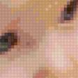 Предпросмотр схемы вышивки «любопытство» (№95318)