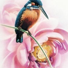 Схема вышивки «Птицы»