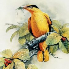 Схема вышивки «Птицы»