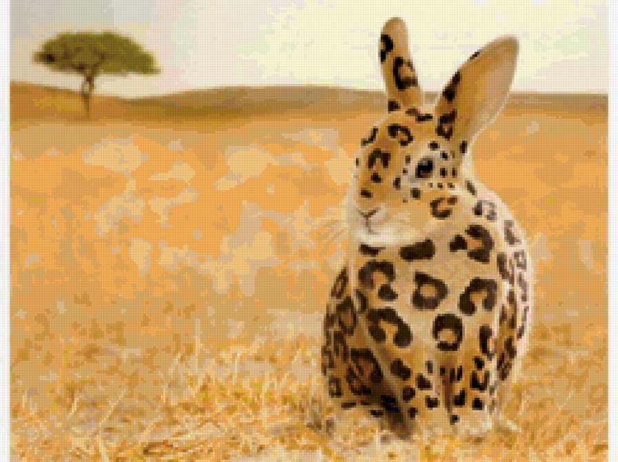 кролики бывают разные - животные, кролик, африка - предпросмотр