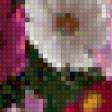 Предпросмотр схемы вышивки «космея» (№95412)