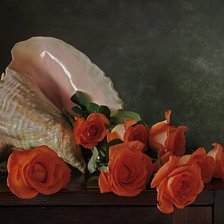 Схема вышивки «розы»