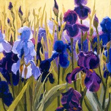 Схема вышивки «ирисы»