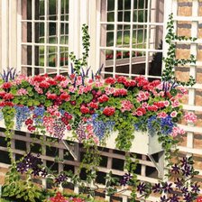 Схема вышивки «Серия "Пейзажи"»