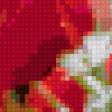 Предпросмотр схемы вышивки «маки» (№95883)