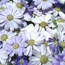 Схема вышивки «№96067»