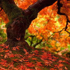 Схема вышивки «Осень»