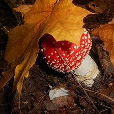 Схема вышивки «красота,которую мы не замечаем»