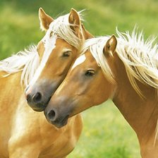 Схема вышивки «Лошади»