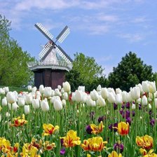 Схема вышивки «Пейзаж с мельницей»