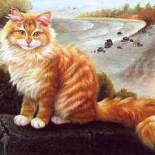 Схема вышивки «Котик»