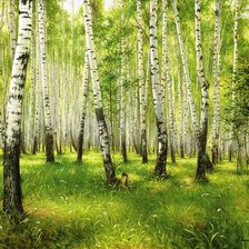 Схема вышивки «Берёзовая роща»