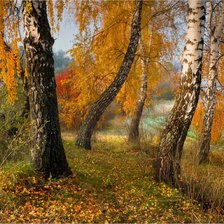 Схема вышивки «На осеннем берегу»