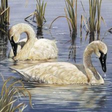 Схема вышивки «Лебеди»