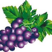 Схема вышивки «Синий виноград»