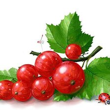 Схема вышивки «Красная смородина»