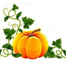 Схема вышивки «Салфетка»