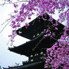 Схема вышивки «китайская башня и сакура»