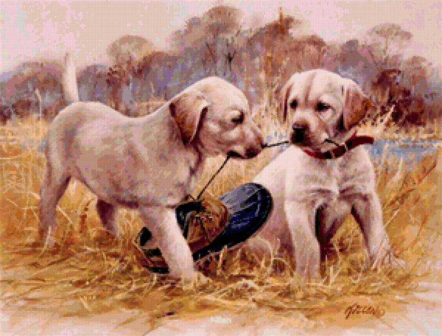 Собаки - собаки - предпросмотр