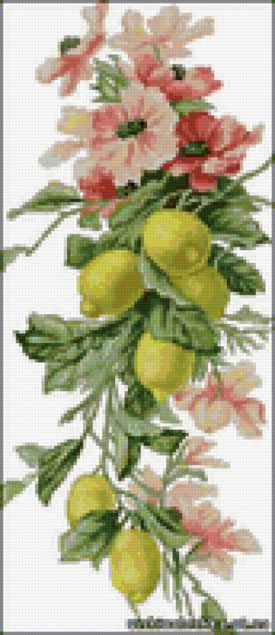 лимоны - фрукты - предпросмотр