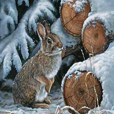 Схема вышивки «Кролик»