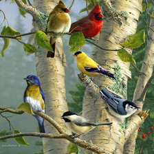 Схема вышивки «Птички»