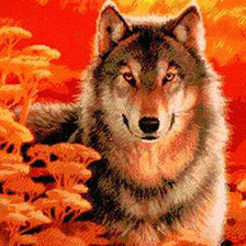 Схема вышивки «Волк»