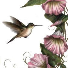 Схема вышивки «Птица»