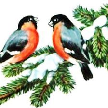 Схема вышивки «Снегири»