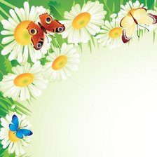 Схема вышивки «Салфетка»