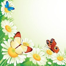 Схема вышивки «Салфетка»