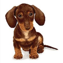 Схема вышивки «Таксик»