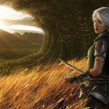 Схема вышивки «Фэнтези»