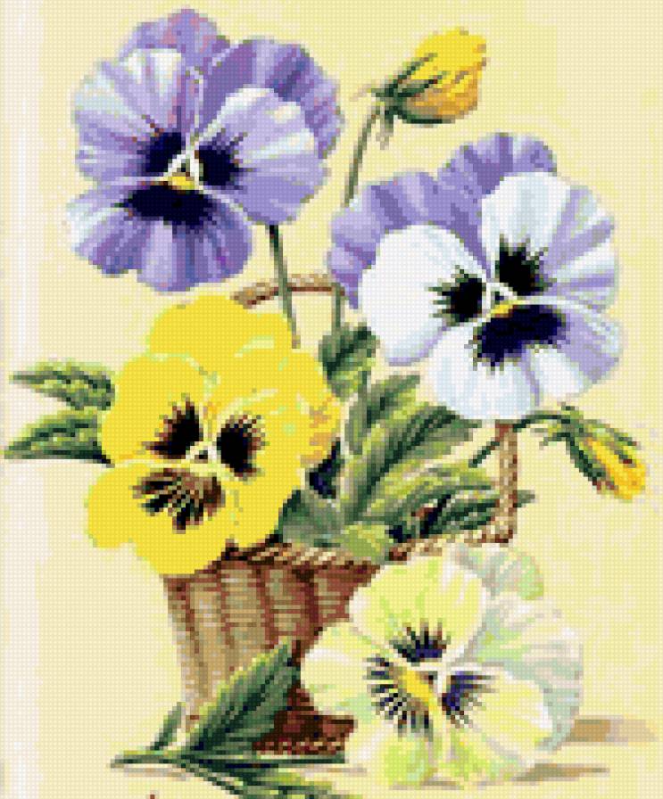 Анютины глазки - букет, цветы - предпросмотр