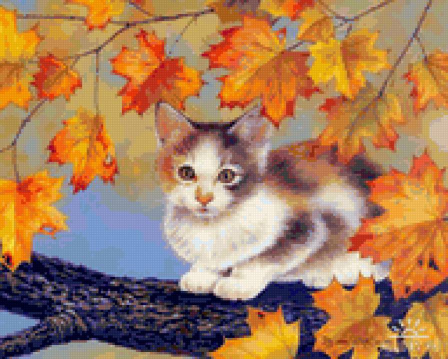 Котенок - животные, коты - предпросмотр