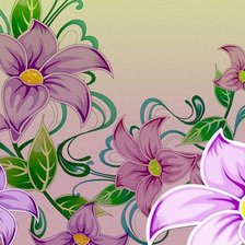 сиреневые цветы