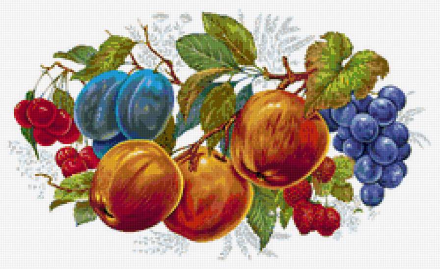 Фрукты - яблоко, слива, еда, ягоды, фрукты, натюрморт, для кухни - предпросмотр