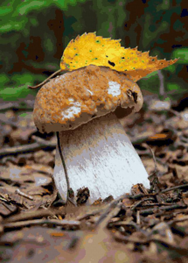 Триптих "Лесные сокровища" часть 2,центральная - гриб, лес, грибы - предпросмотр