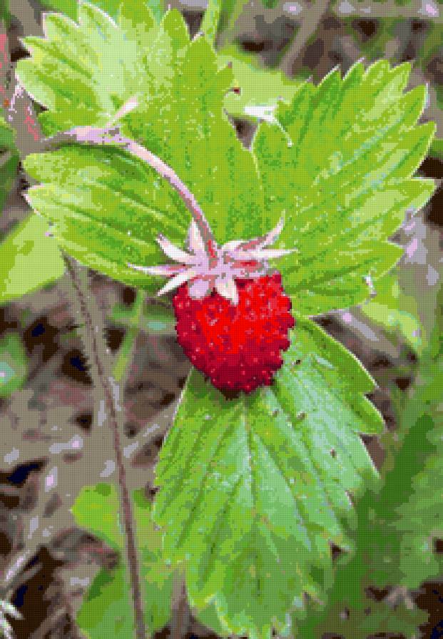 Триптих "Лесные сокровища" часть 3 - ягода, земляника, лес - предпросмотр