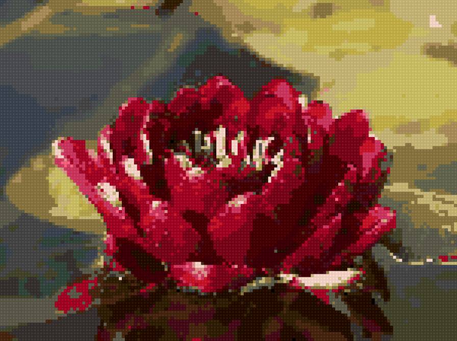 Кувшинка 1 - предпросмотр